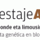 Logo Testaje Aia