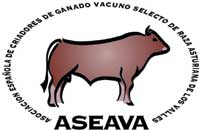 aseava-logo-asturiana-valles