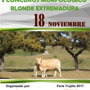 I Concurso Extremadura Blonde Aquitania