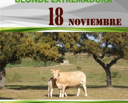 I Concurso Extremadura Blonde Aquitania