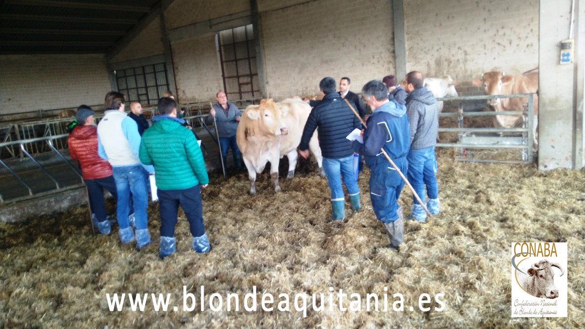 blonde-aquitania-curso-3