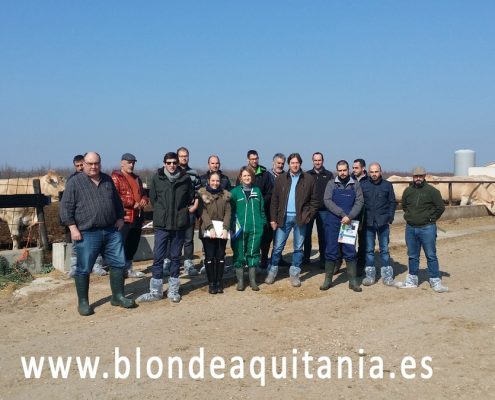 blonde-aquitania-curso