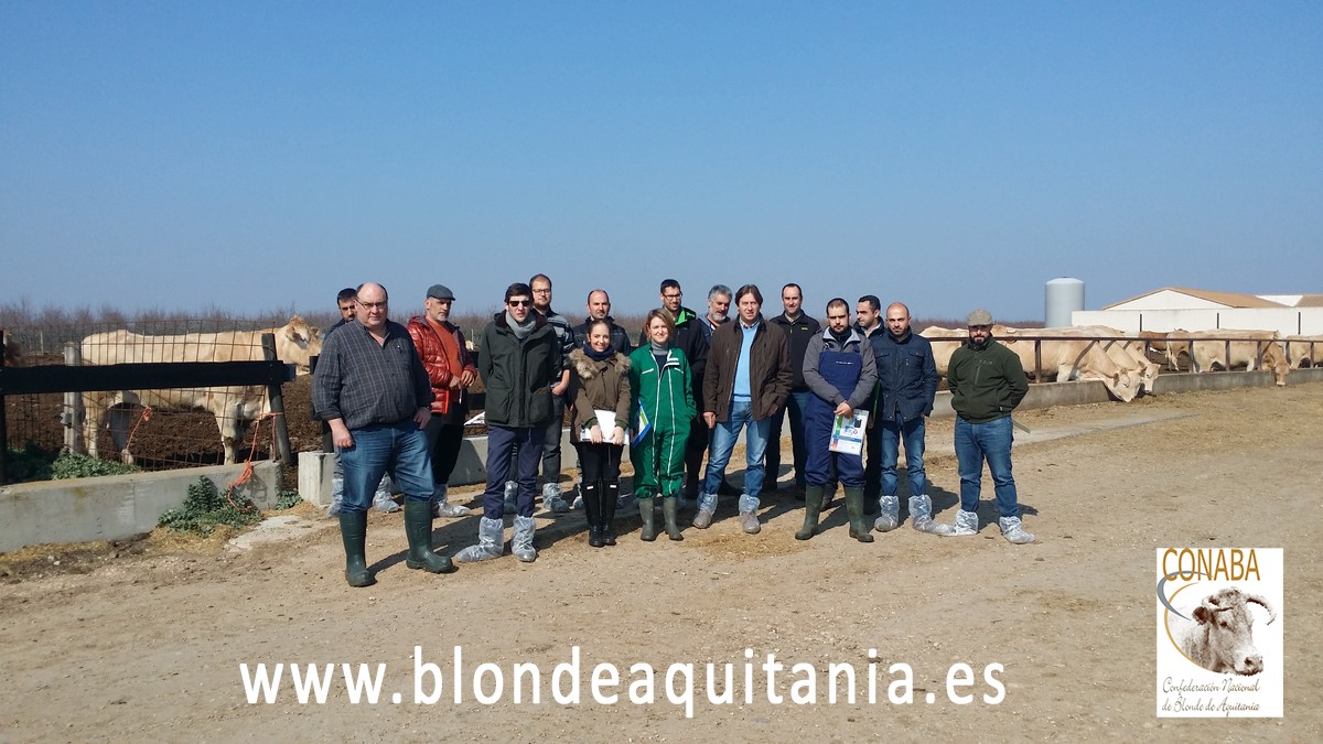 blonde-aquitania-curso